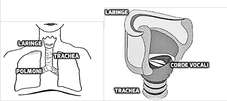 Tecniche di base ed elementi fisiologici fondamentali | The Babel Flute