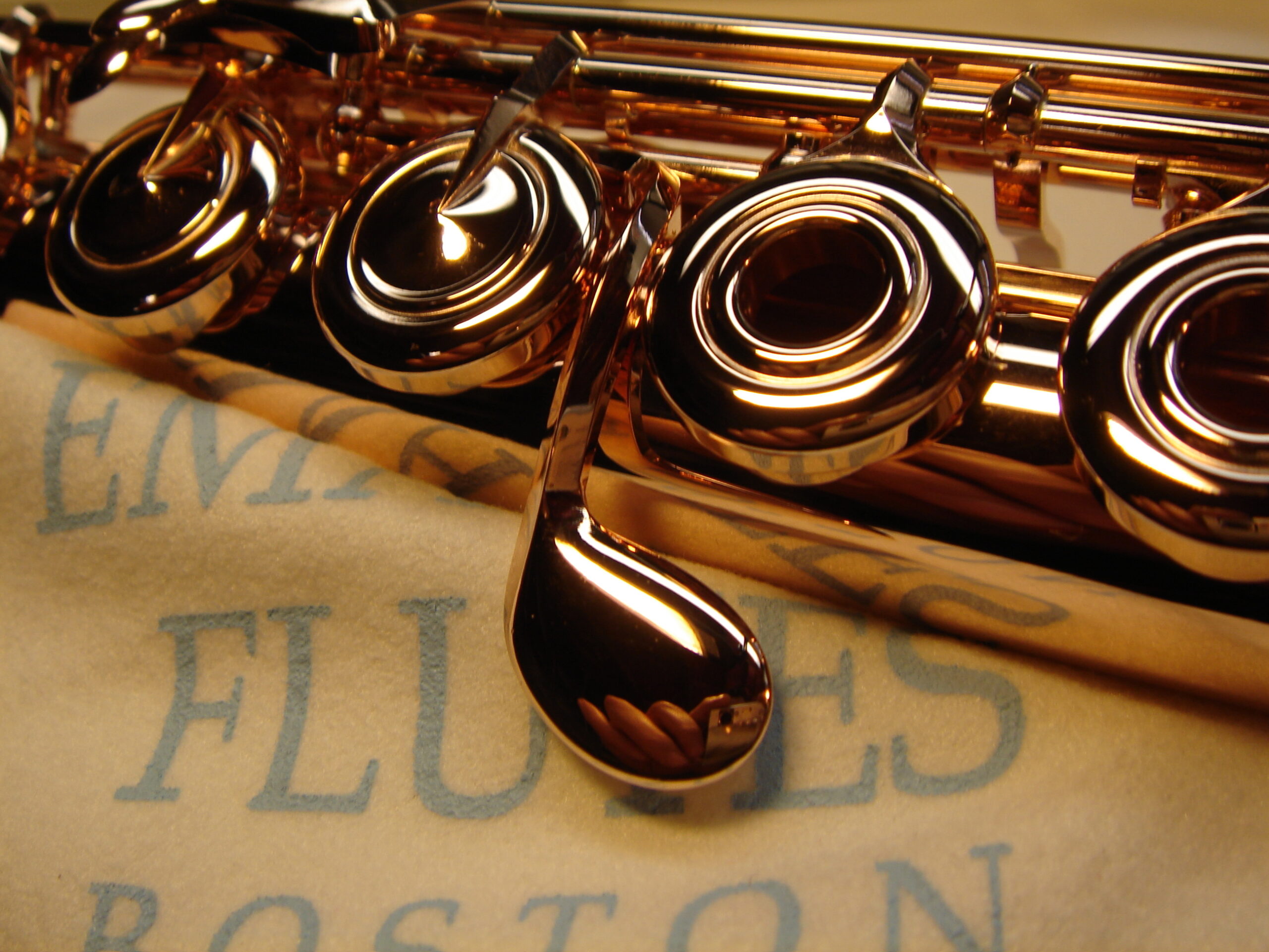 Train Your Brain with Flute Music on National Brain Day- Flutes World
