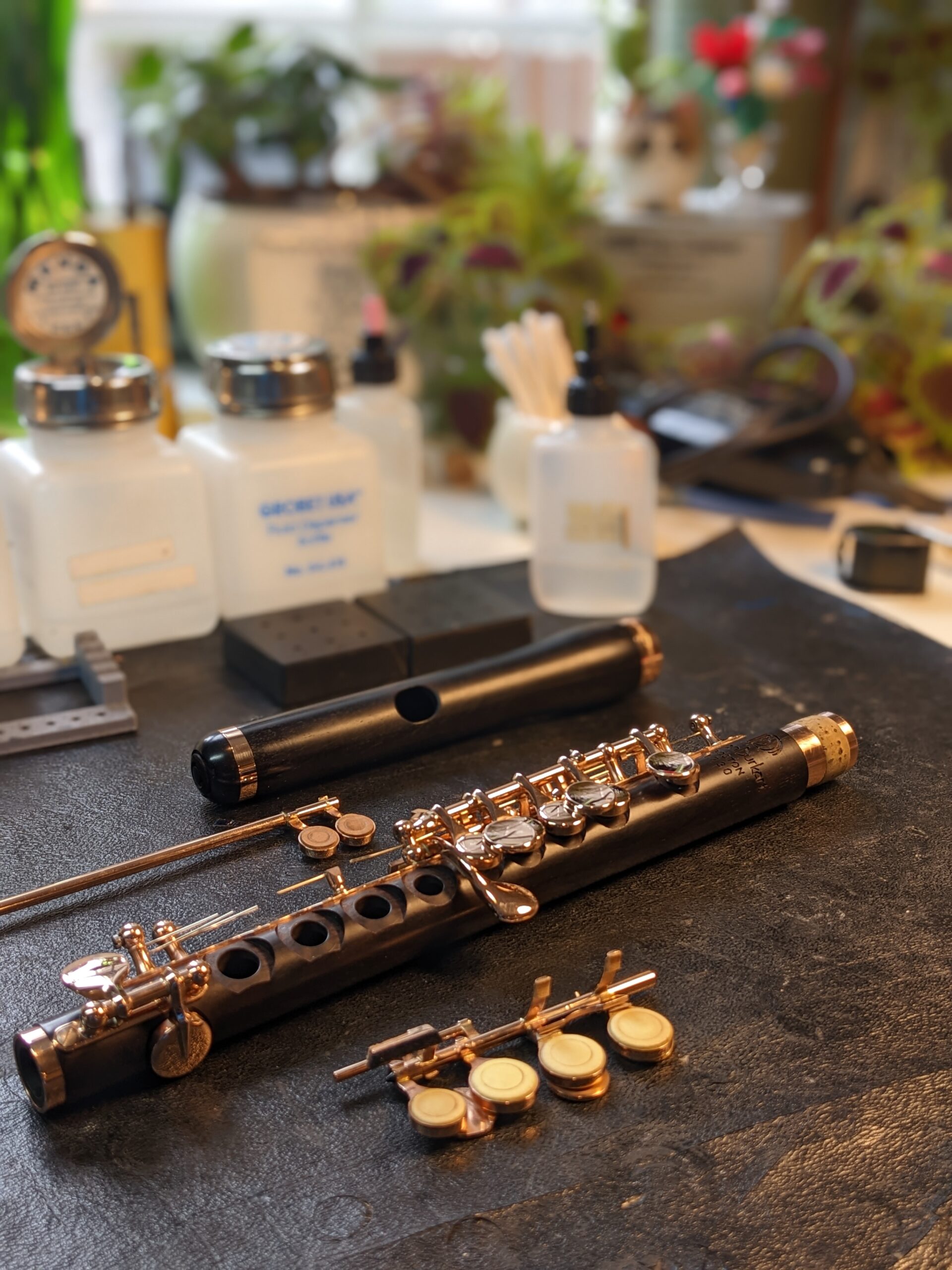 Train Your Brain with Flute Music on National Brain Day- Flutes World